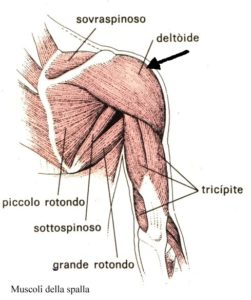 fisioterapia balduina